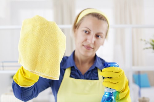 Keyboard navigation on an accessible cleaning website