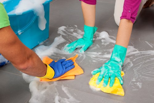 Professional window washing for local flats and apartments