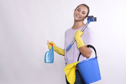 Local technician treating a carpet odour issue in a Shoreditch home
