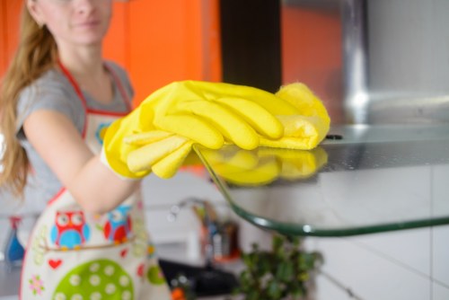 Local gutter cleaning service for homes and businesses in Shoreditch